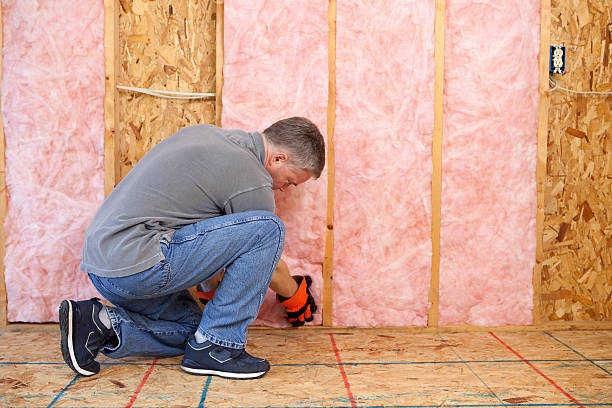 Best Geographic-Specific Insulation Services in Marietta, OH